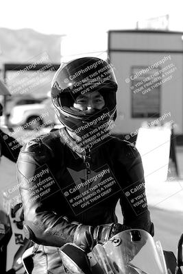 media/Dec-15-2023-Apex Assassins (Fri) [[91f19fb1c7]]/Around the Pits/